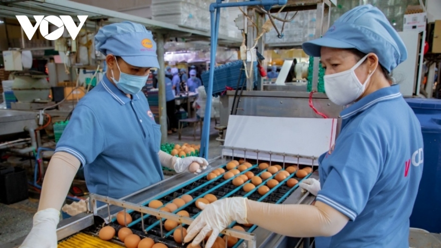 Vietnam PMI hits 50 mark for first time in six months